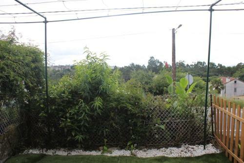 Casa-loft En El Bosque