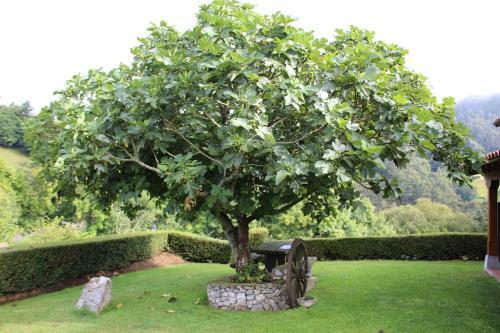 Agroturismo La Quintana Sinariega