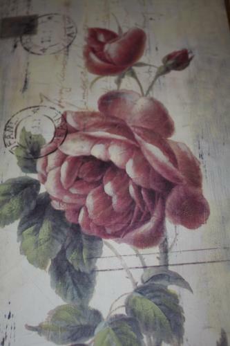 B&B Schipborg