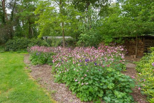 B&B Schipborg