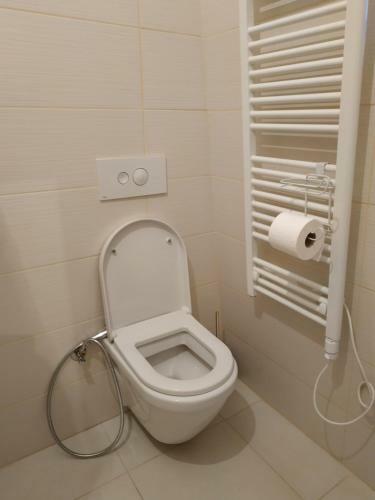 Apartment Bor Bjela?nica