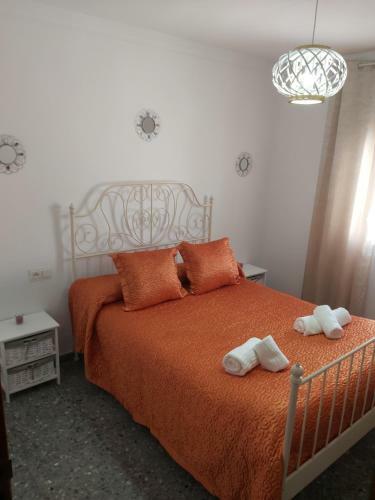 Casa Momaita