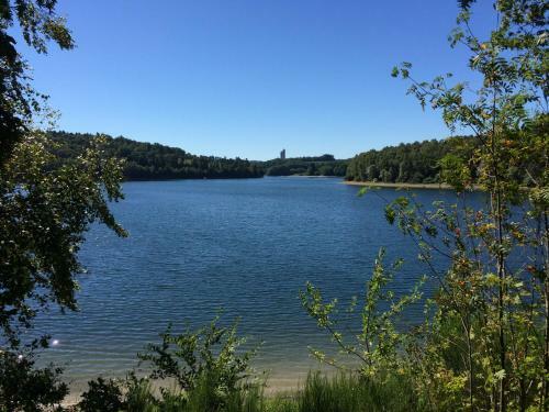 L'�cureuil Des Lacs