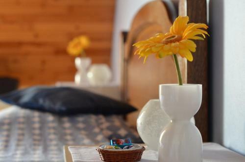 B&B Vanderstraeten-bryxis