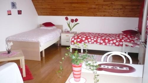 B&B Vanderstraeten-bryxis
