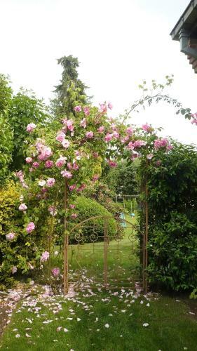 B&B Vanderstraeten-bryxis