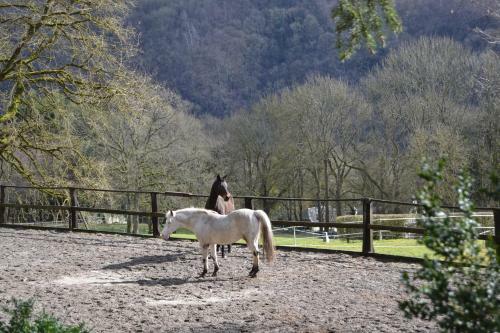 Au Val Mosan - Pairy 14
