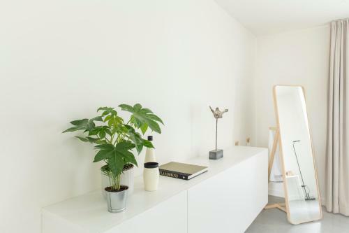 Trendy Apartments As Base To Discover Ghent