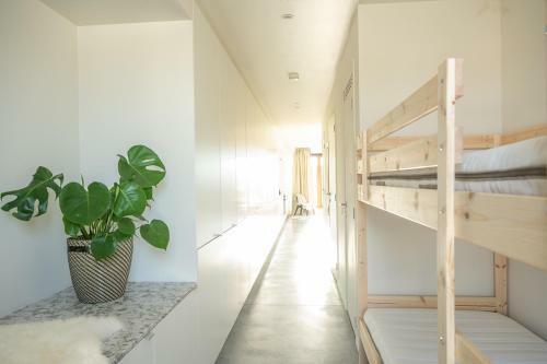 Trendy Apartments As Base To Discover Ghent