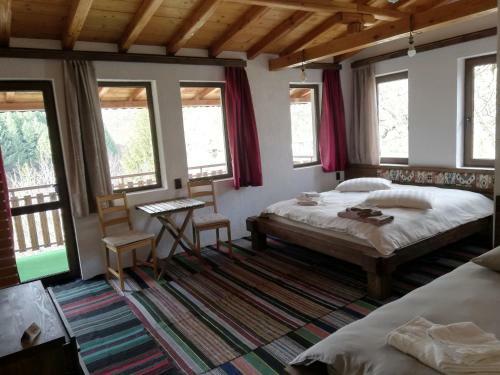 Hostal Guest House Elena