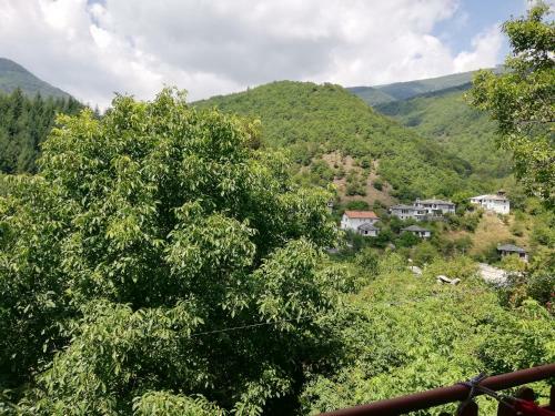 Hostal Guest House Elena