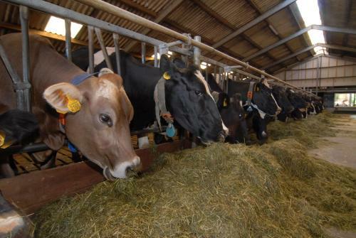 Hostal Farm Overleekerhoeve