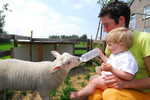 Hostal Farm Overleekerhoeve