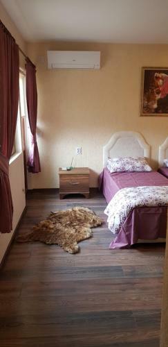 Hostal ???????? ?? ????????? The Wolf
