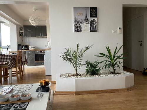 Apartamento Razgrad Home