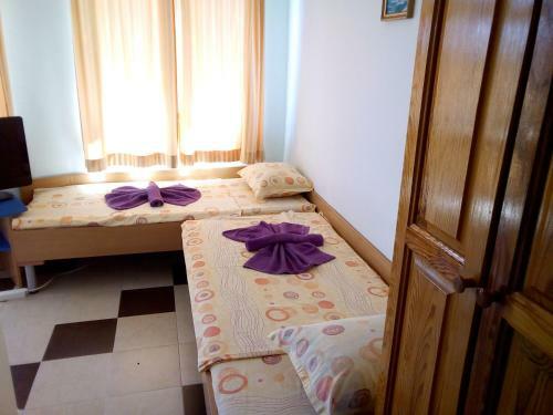 Hotel ?????? ????? ??????