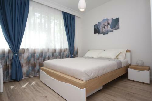 M&n Central Apartment