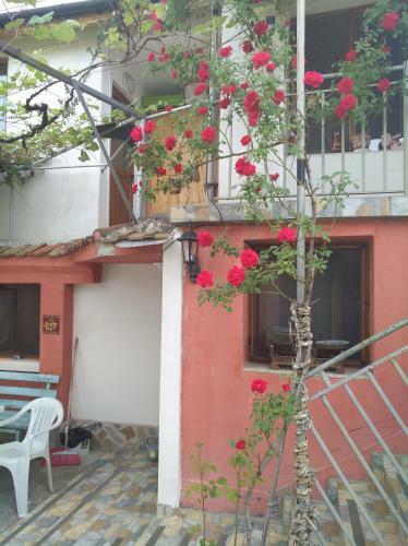 Hostal ???? ?? ????? ,,polo,,