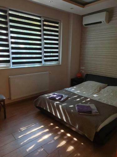 Luxury 2 Bedroom,2 Bathroom Apart ,free Parking