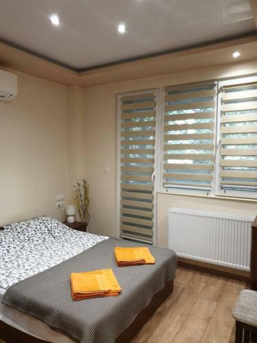 Luxury 2 Bedroom,2 Bathroom Apart ,free Parking