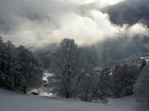Apartamento Chalet Oberb�rtji Furna