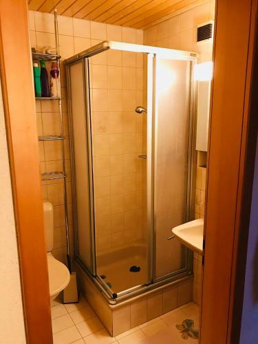 Apartamento Haus Fletschhorn Jeizinen