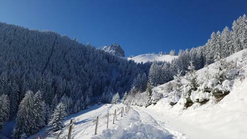 Charming Chalet With Panoramic View In Gruyere