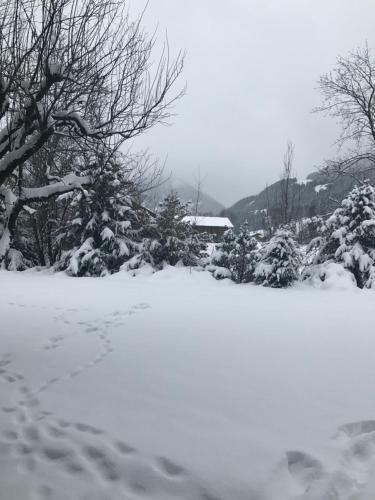 Apartamento Charly Studio In Gstaad