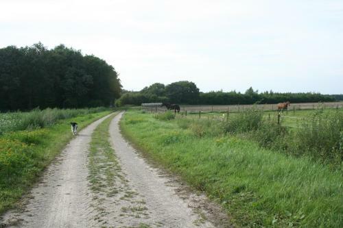 Bed & Breakfast B&amp;b De Drentse Es