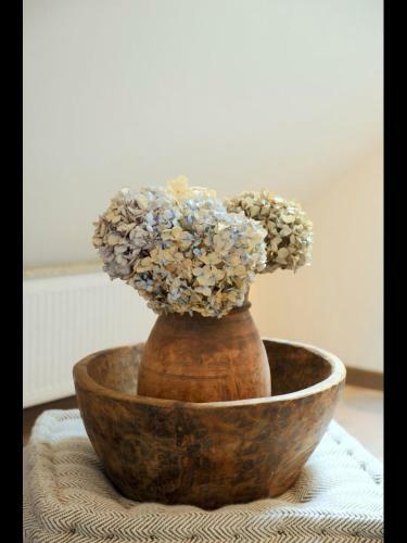 Bed & Breakfast B&amp;b De Drentse Es