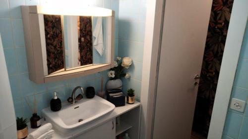 Beautiful Apartment Near Lake Geneva