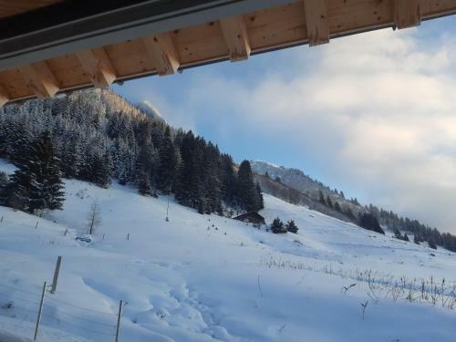 Alpine Dream Chalet With Spa Close To Lake Geneva