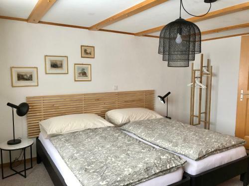 Apartamento Chalet Pironnet With Best Views, Charm And Comfort!