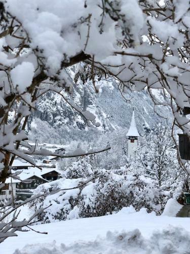 Apartamento Chalet Pironnet With Best Views, Charm And Comfort!