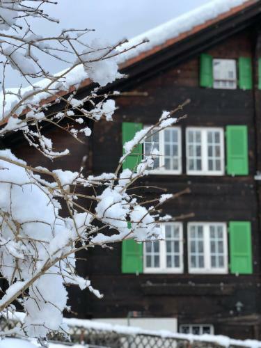 Apartamento Chalet Pironnet With Best Views, Charm And Comfort!