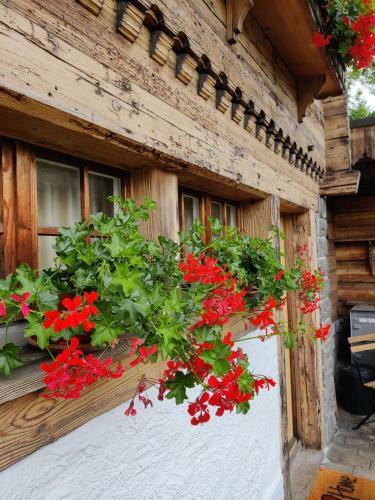 Apartamento Studio Frangi�