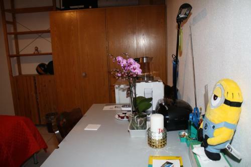 Hostal Ergomotion Losone Michio