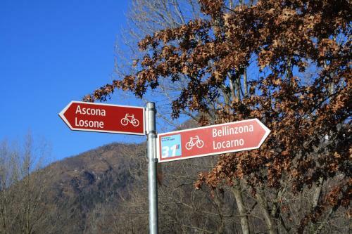 Hostal Ergomotion Losone Michio