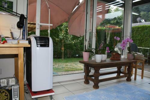 Hostal Ergomotion Losone Michio