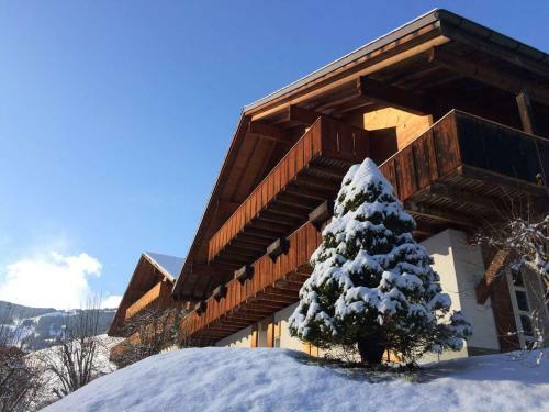 Chalet M