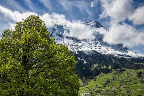 Chalet Caramelle