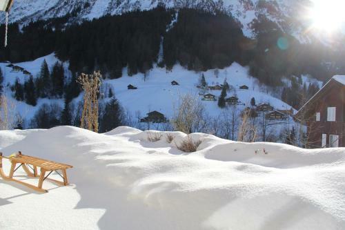Apartamento Chalet Pfingsteggblick