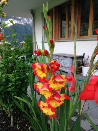 Apartamento Chalet Pfingsteggblick