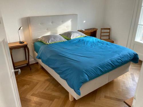 Apartamento Joli 2 Pi�ces Dernier �tage, Lausanne Centre