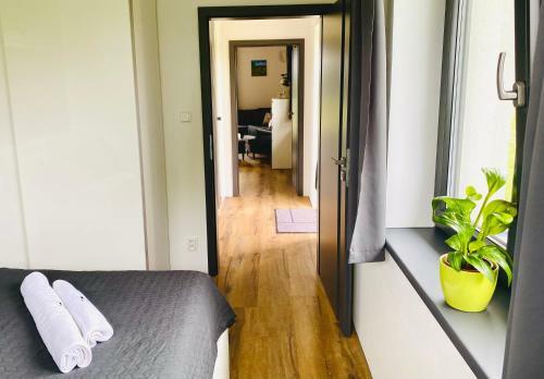 Apartm�ny Dome