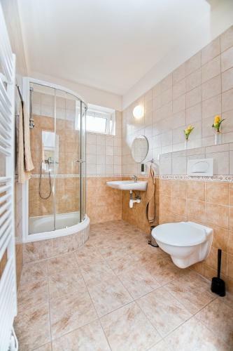 Hostal Apartm�ny Pod ?er?�kem