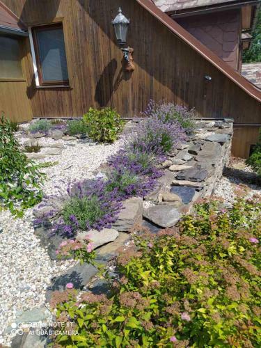 Apartm�ny Doln� Moravice