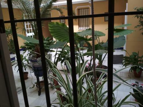 Apartamento Two Bedrooms Leonor D�valos