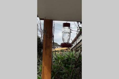 Casa Centro Cachagua Solo Flia A Pasos Playa Las Cujas