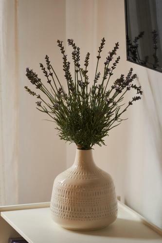 Apartamento San Isidoro Cathedral Suite By Valcambre